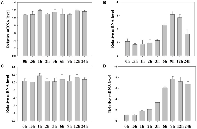 FIGURE 11