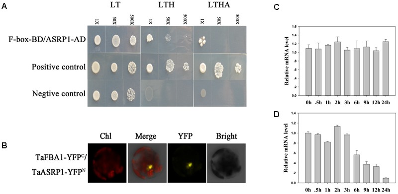 FIGURE 10