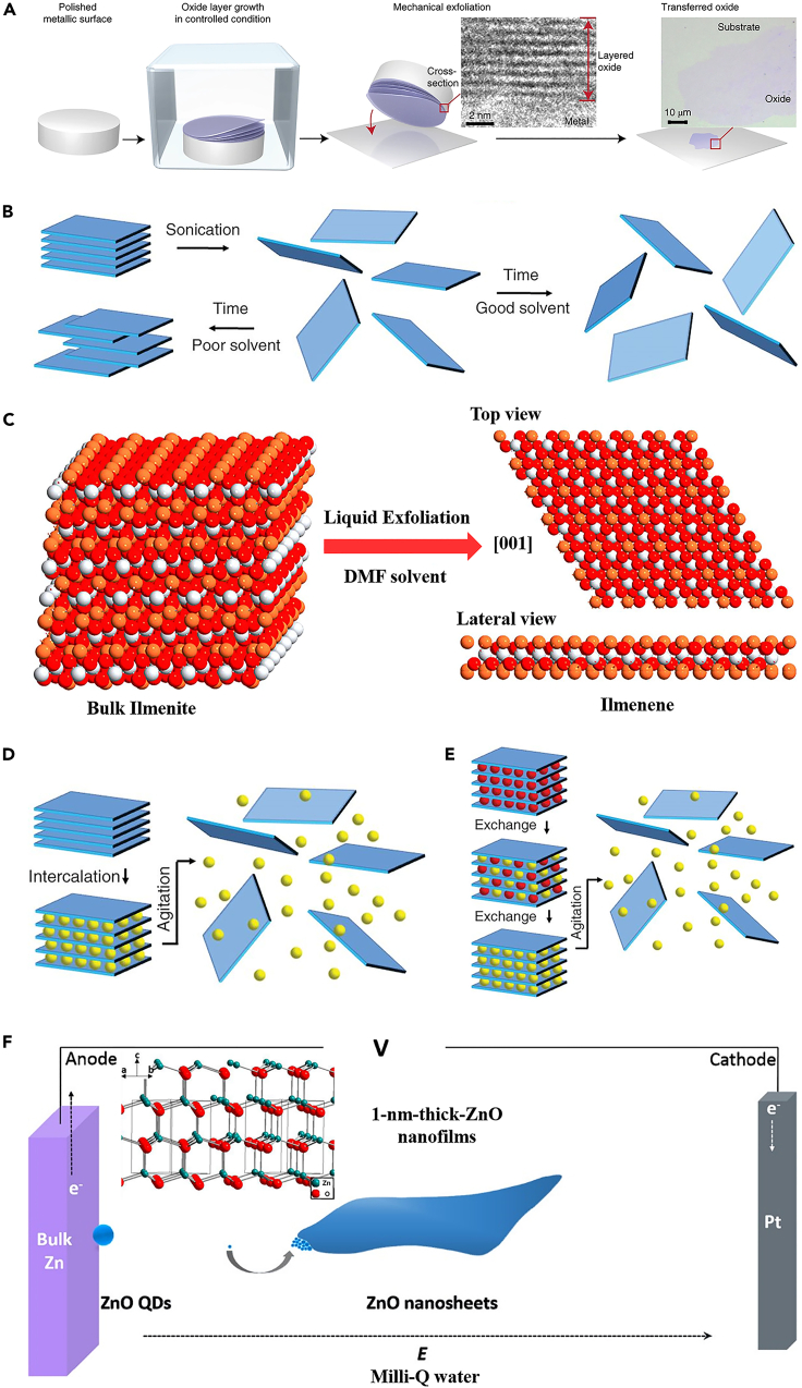 Figure 2