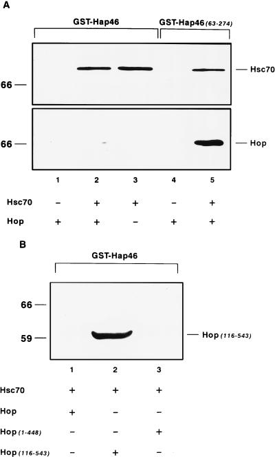 FIG. 6