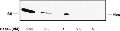 FIG. 7