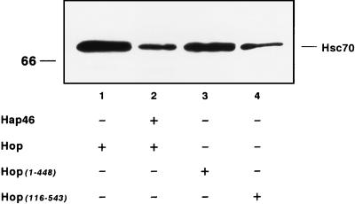 FIG. 5