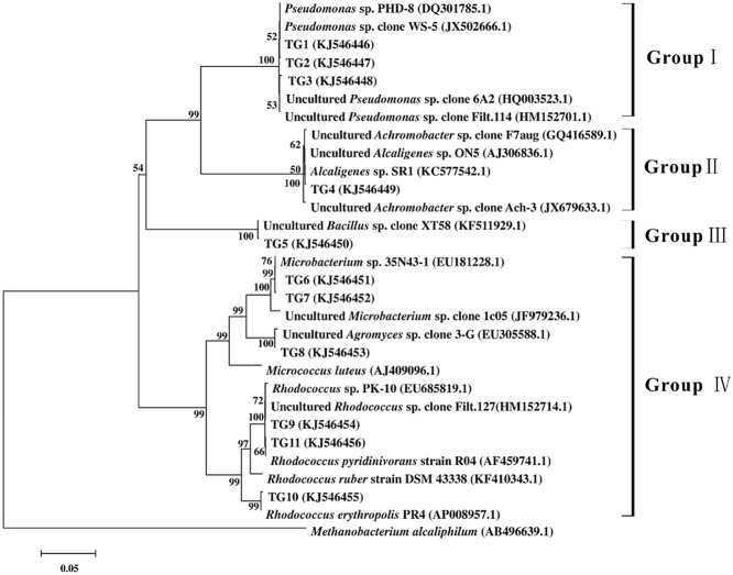 Fig 6