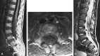 <sc>fig</sc> 1.