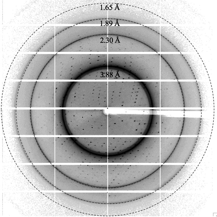 Figure 2