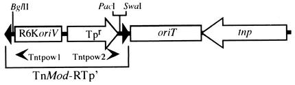 FIG. 2.