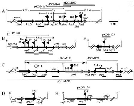 FIG. 4.