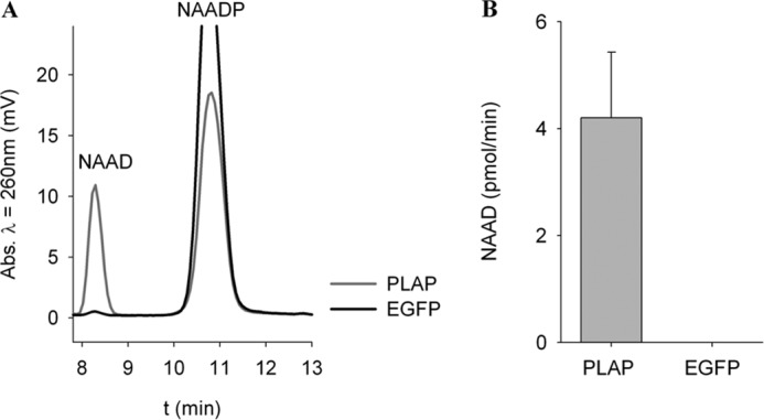 FIGURE 9.