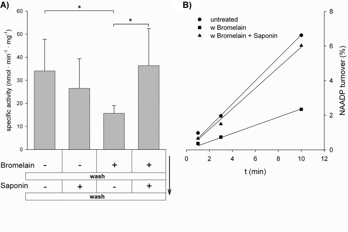 FIGURE 10.