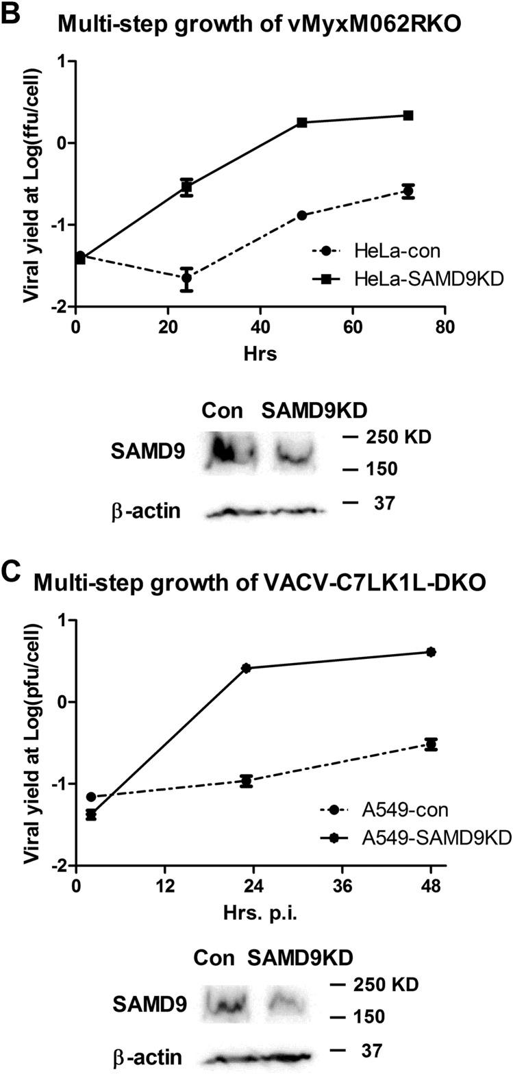 FIG 4