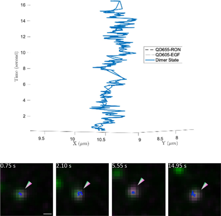 Figure 4—figure supplement 4.