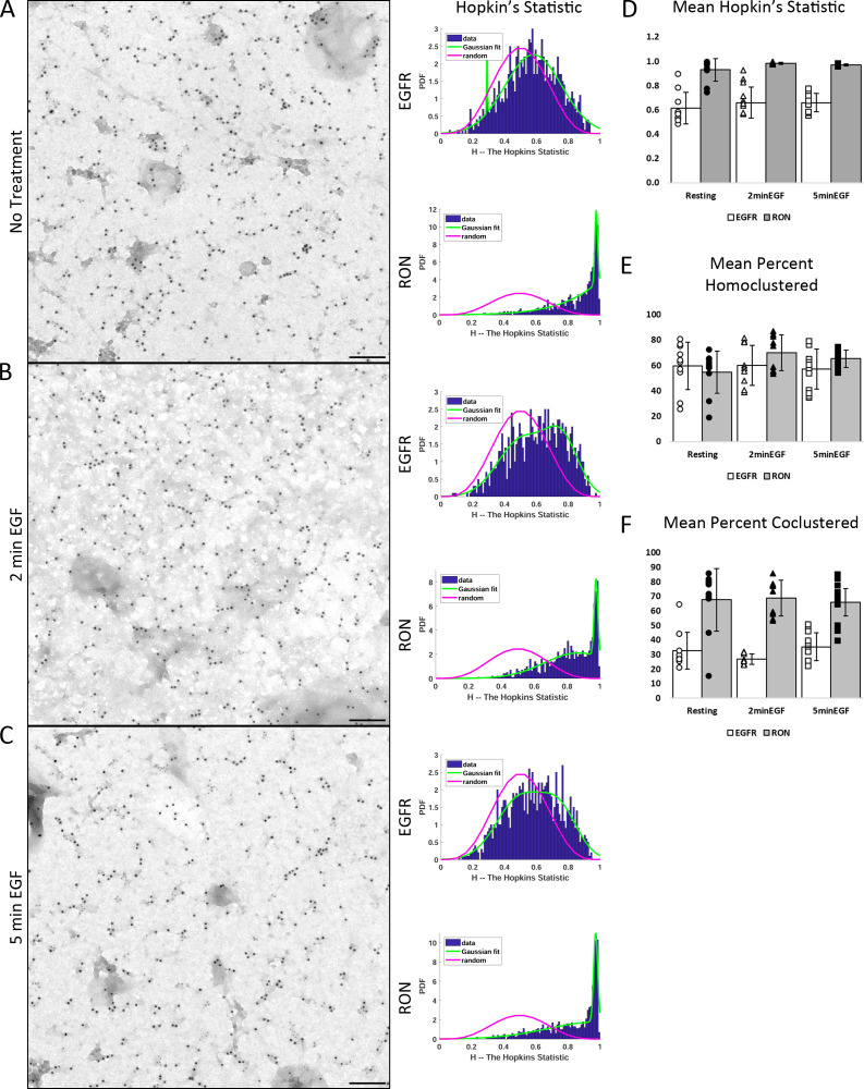 Figure 2—figure supplement 2.