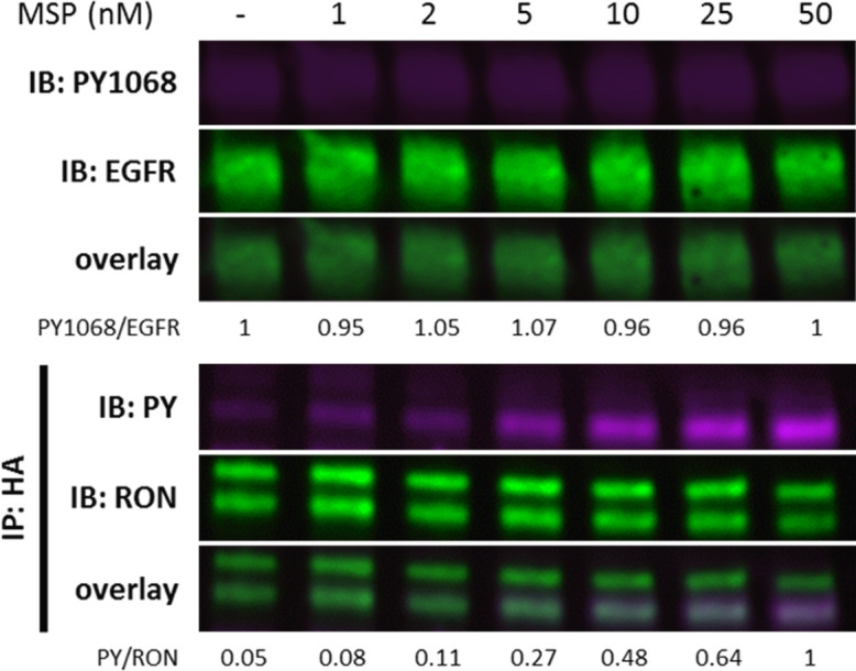 Figure 1—figure supplement 2.