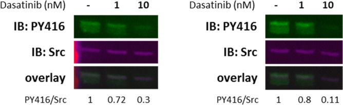 Figure 6—figure supplement 1.