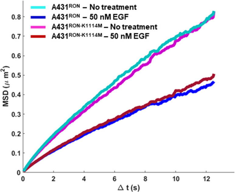 Figure 5—figure supplement 2.