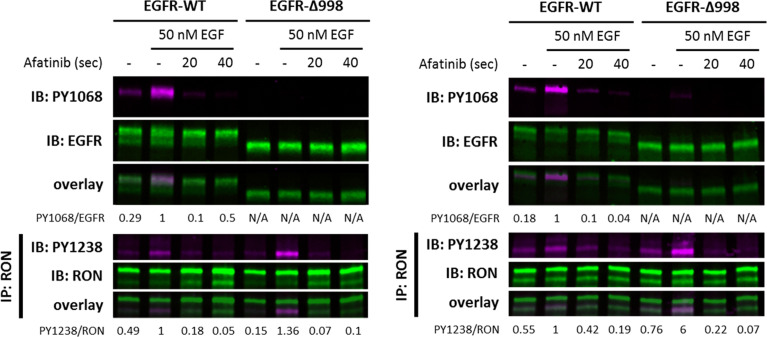 Figure 6—figure supplement 2.