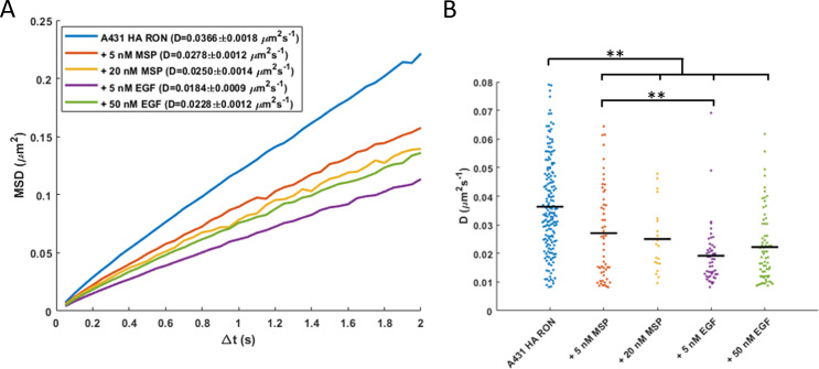 Figure 3—figure supplement 1.