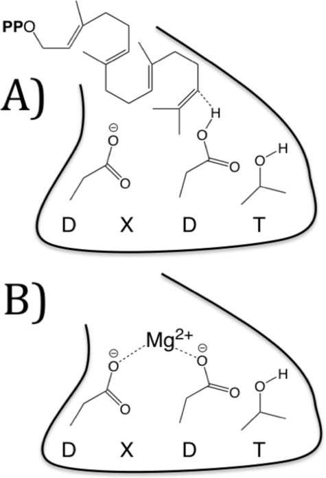 FIGURE 8.