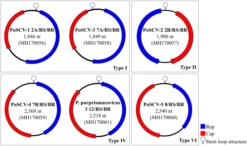 Fig 4