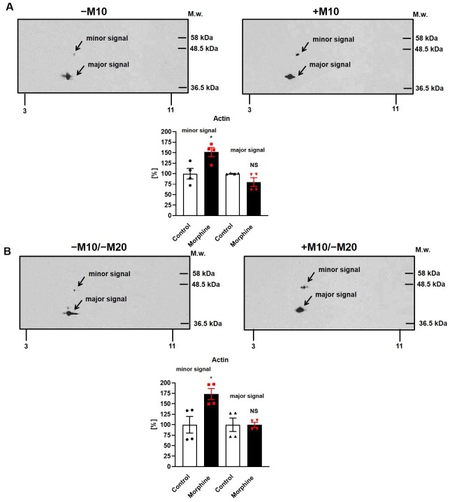 Fig 8