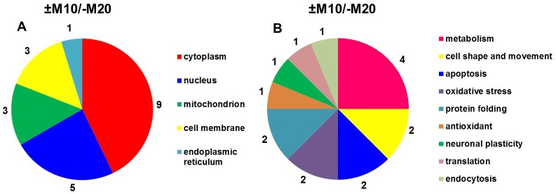 Fig 5