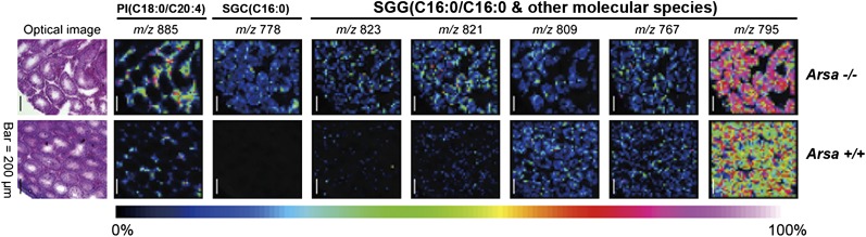 Fig. 4.