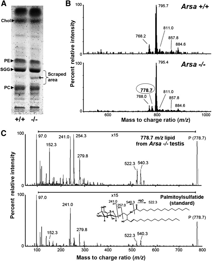 Fig. 5.