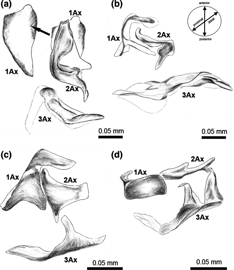 Fig. 6