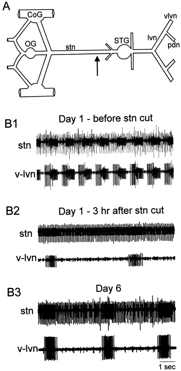 Fig. 1.