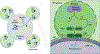 Fig. 1 |