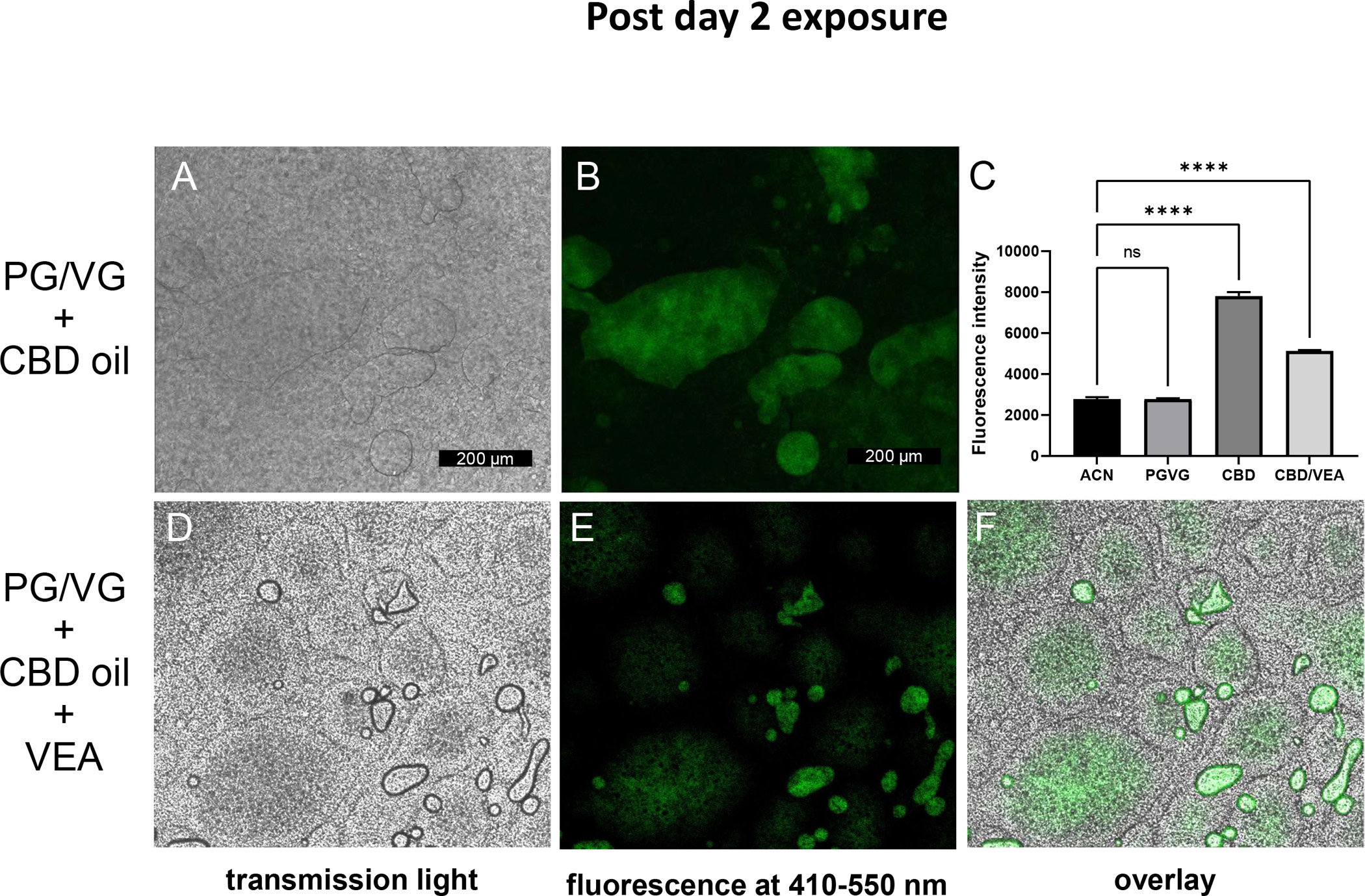 Figure 3: