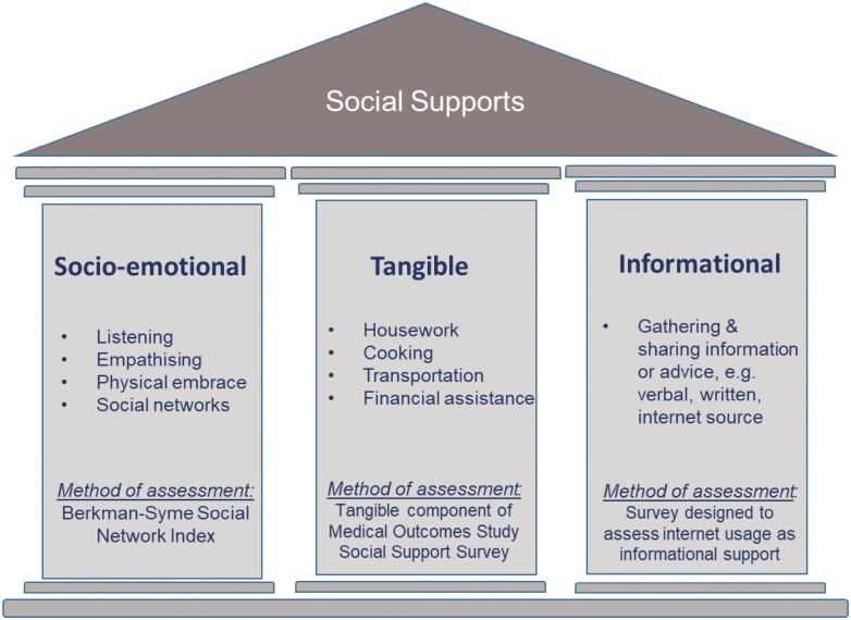 Image depicting the three main types of social supports for patients, with examples for each category.