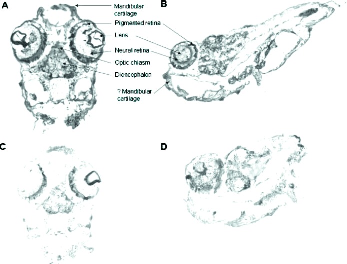 FIG. 8