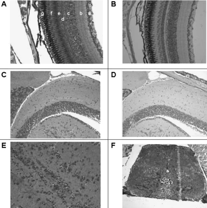 FIG. 6