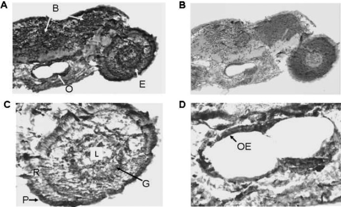 FIG. 9