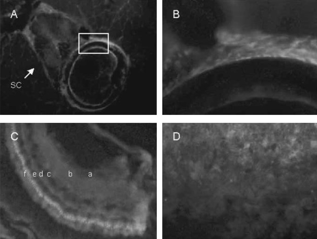 FIG. 7