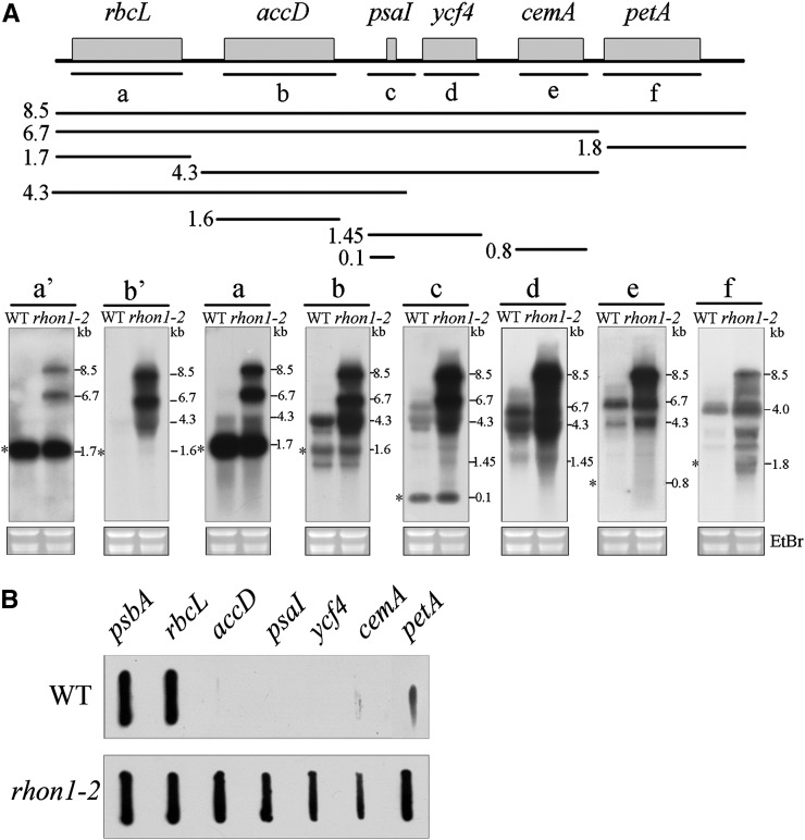 Figure 2.