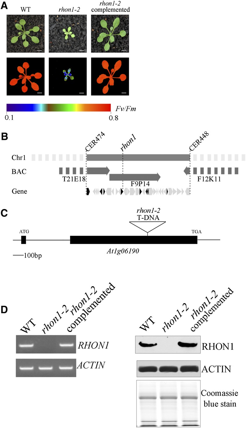 Figure 1.