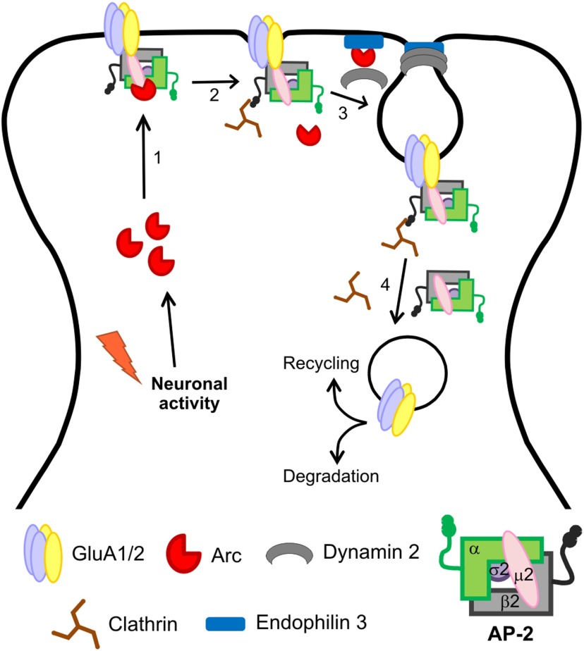 Figure 9.