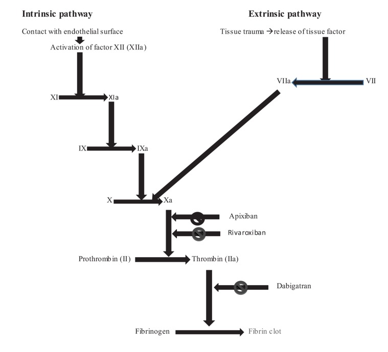 Fig. (1)