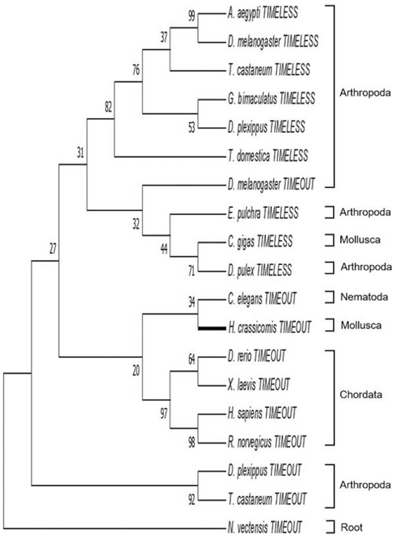 Figure 7.