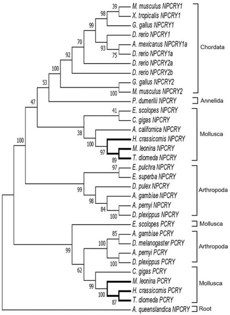 Figure 6.