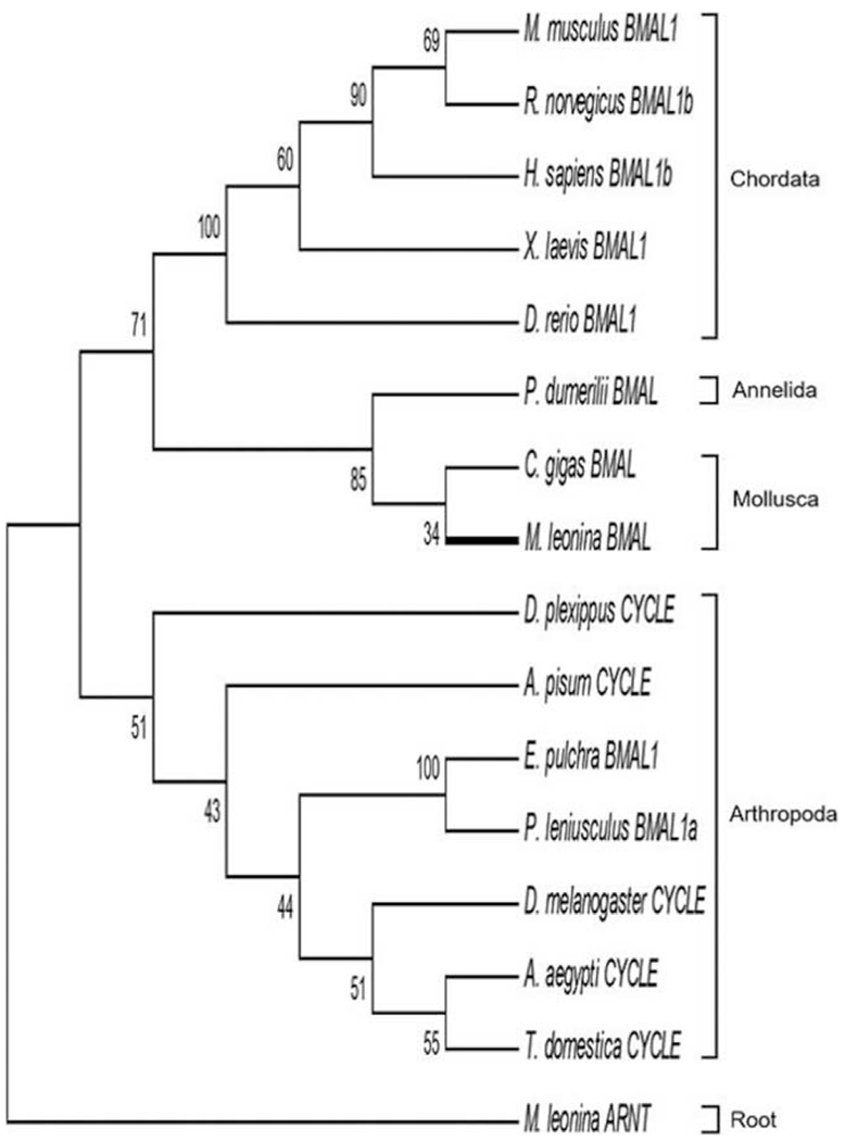 Figure 4.