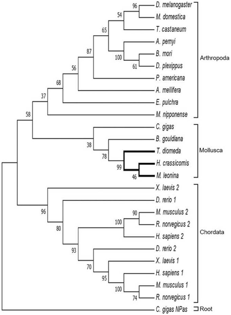 Figure 5.