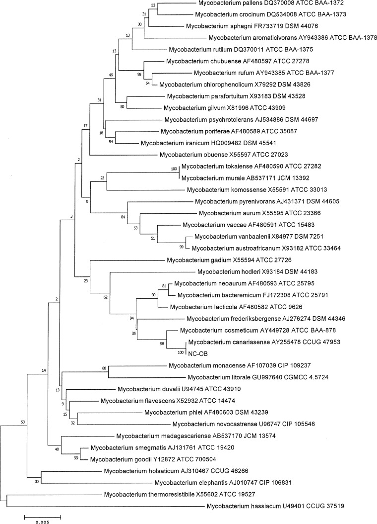 FIG 2