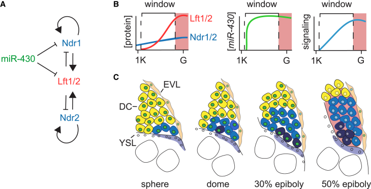 Figure 7