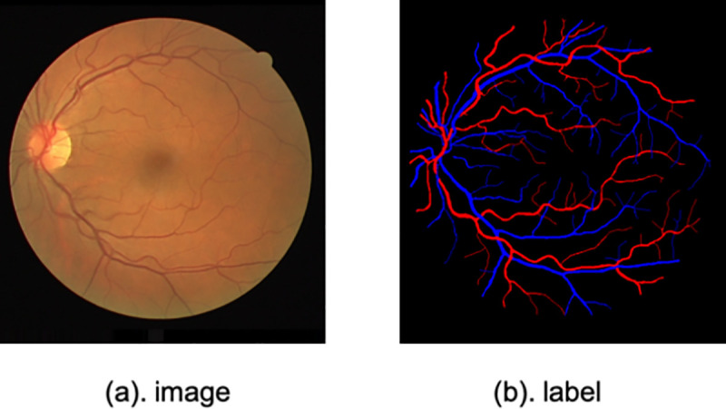 Fig 7