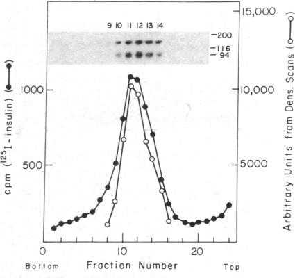 graphic file with name pnas00625-0034-b.jpg