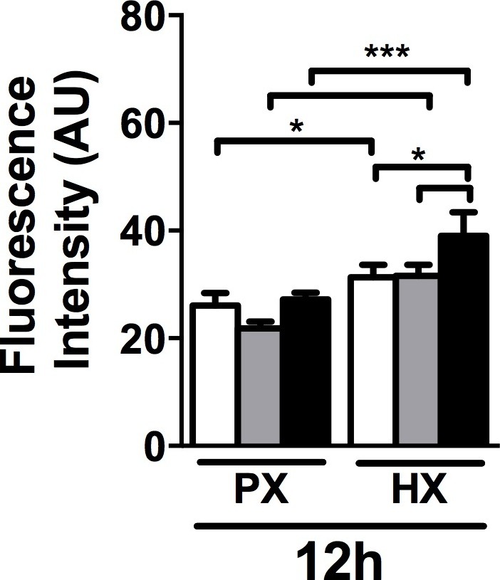 Figure 1—figure supplement 1.