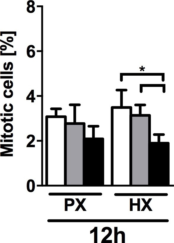 Figure 2—figure supplement 1.